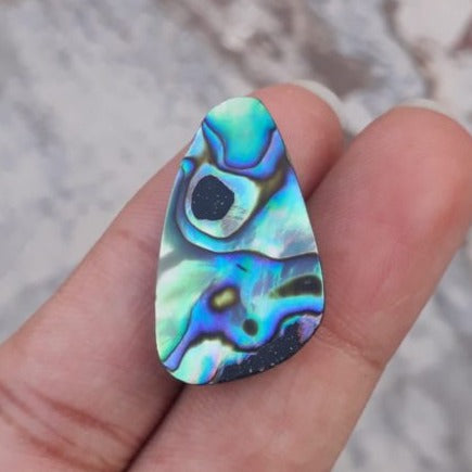 16ct Abalone Shell - Haliotis Iris, Paua Shells, Nacre, Mother-of-Pearl, Aulon, Sea ear -27x17mm