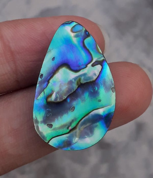 20.7ct Abalone Shell - Haliotis Iris, Paua Shells, Nacre, Mother-of-Pearl, Aulon, Sea ear - 28x18mm