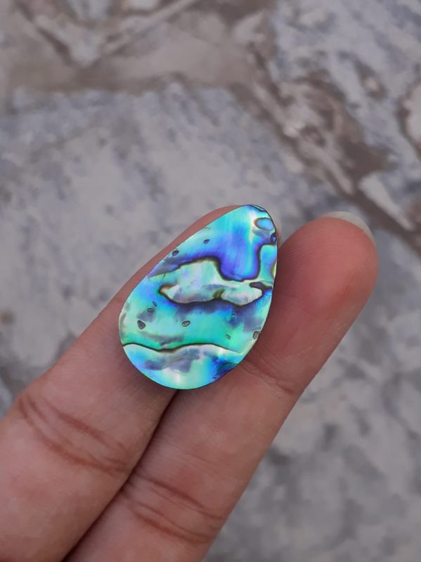 20.7ct Abalone Shell - Haliotis Iris, Paua Shells, Nacre, Mother-of-Pearl, Aulon, Sea ear - 28x18mm