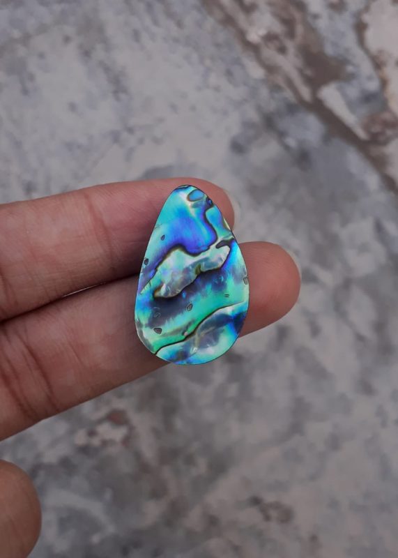 20.7ct Abalone Shell - Haliotis Iris, Paua Shells, Nacre, Mother-of-Pearl, Aulon, Sea ear - 28x18mm