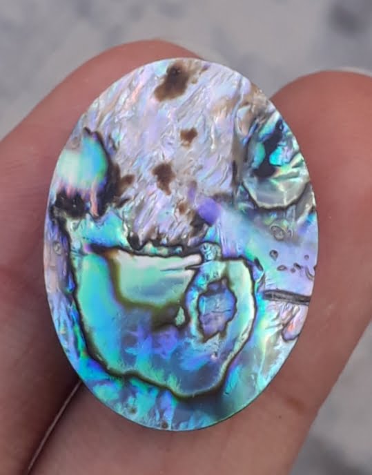 26.2ct Abalone Shell - Haliotis Iris, Paua Shells, Nacre, Mother-of-Pearl, Aulon, Sea ear -26x18mm