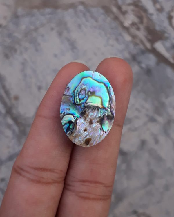 26.2ct Abalone Shell - Haliotis Iris, Paua Shells, Nacre, Mother-of-Pearl, Aulon, Sea ear -26x18mm