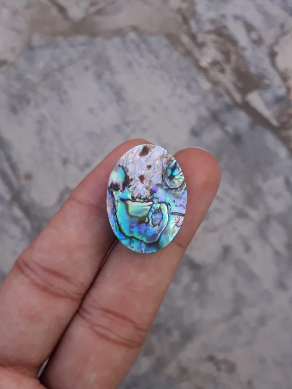 26.2ct Abalone Shell - Haliotis Iris, Paua Shells, Nacre, Mother-of-Pearl, Aulon, Sea ear -26x18mm