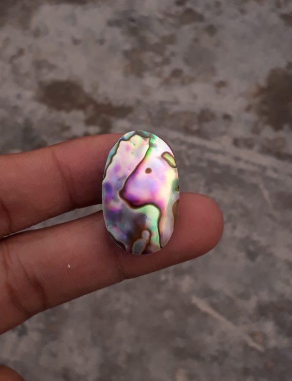 27.8ct Abalone Shell - Haliotis Iris, Paua Shells, Nacre, Mother-of-Pearl, Aulon, Sea ear -28.5x17.5mm