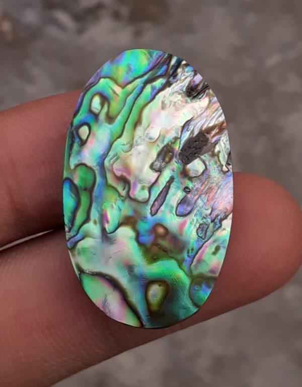 37.8ct Abalone Shell - Haliotis Iris, Paua Shells, Nacre, Mother-of-Pearl, Aulon, Sea ear - 33.8x20mm