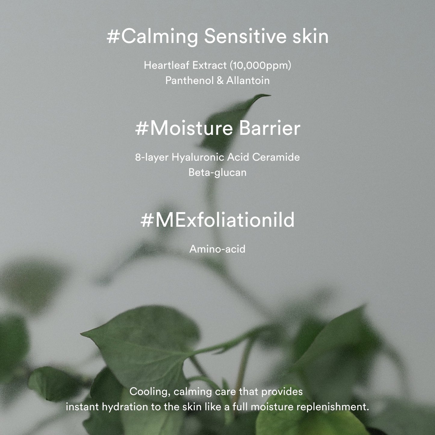 Abib Heartleaf Creme Calming Tube 75ml
