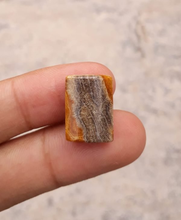 Natural Chrysanthemum Gemstone aka Agatized Coral - 13x18mm