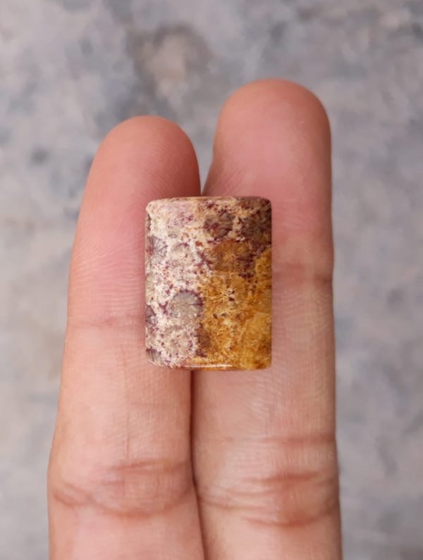 Natural Chrysanthemum Gemstone aka Agatized Coral - 13x18mm
