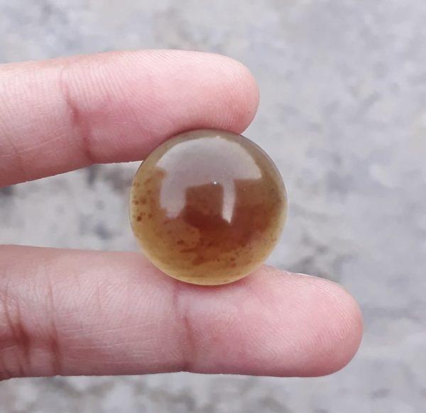 7.8ct Natural Amber Cabochon Circle Shape Opaque - also called Gold of the North - 19.5mm