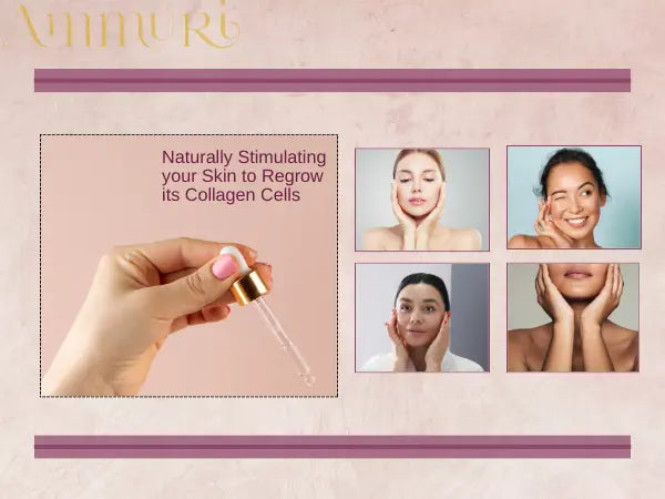 Anti-Ageing Serum for Fine Lines & Wrinkles | Ammuri