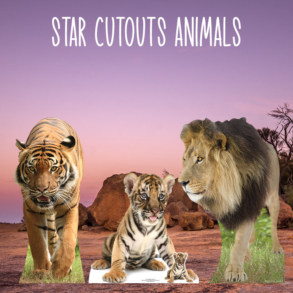 SC053 Tiger Cardboard Cut Out Height 130cm