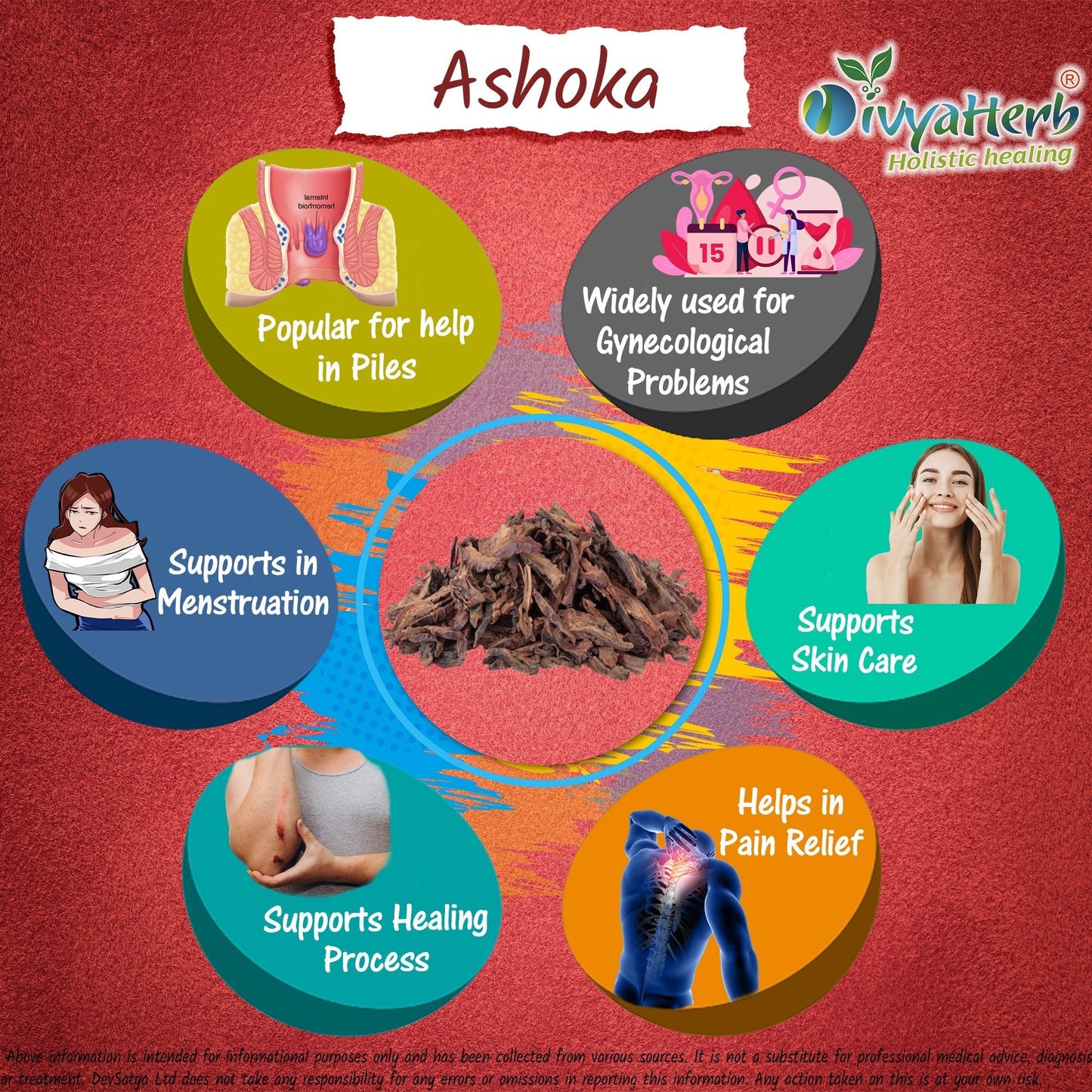 DivyaHerb Ashoka Powder 100 gram - Women's Wellness Support