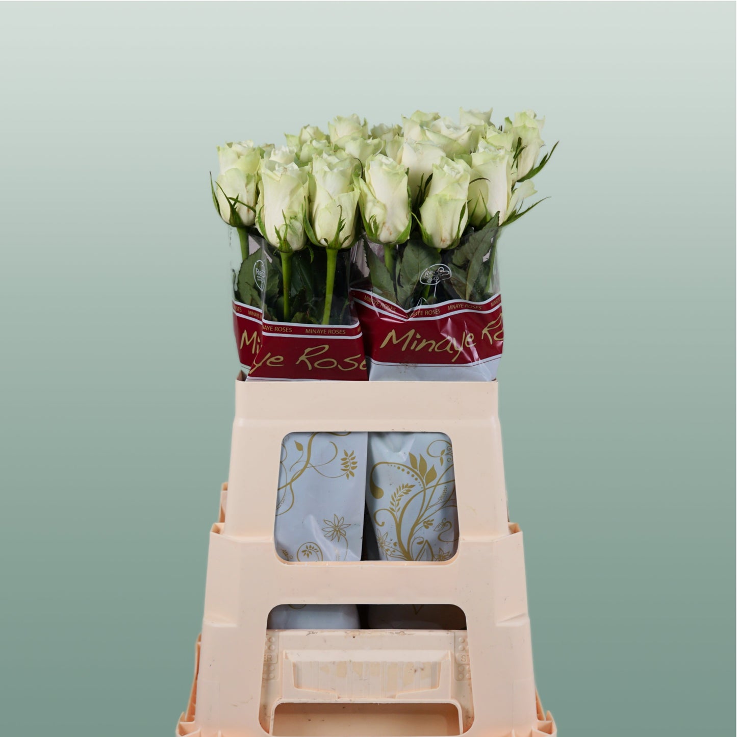 Rose Athena (20 Stems)