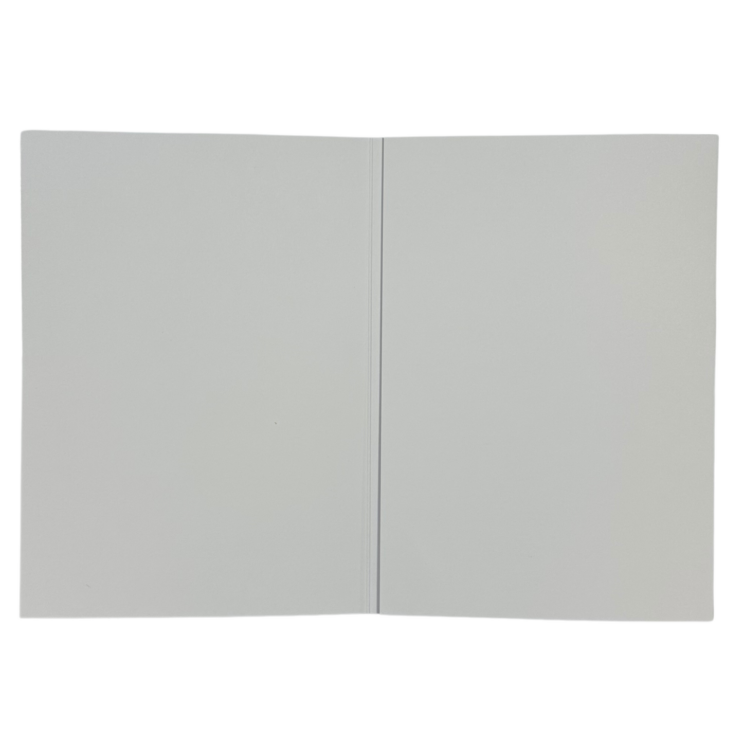 5 x A5 Blank Greeting Cards Made for Audio Modules (Modules Not Included) Stella Weds