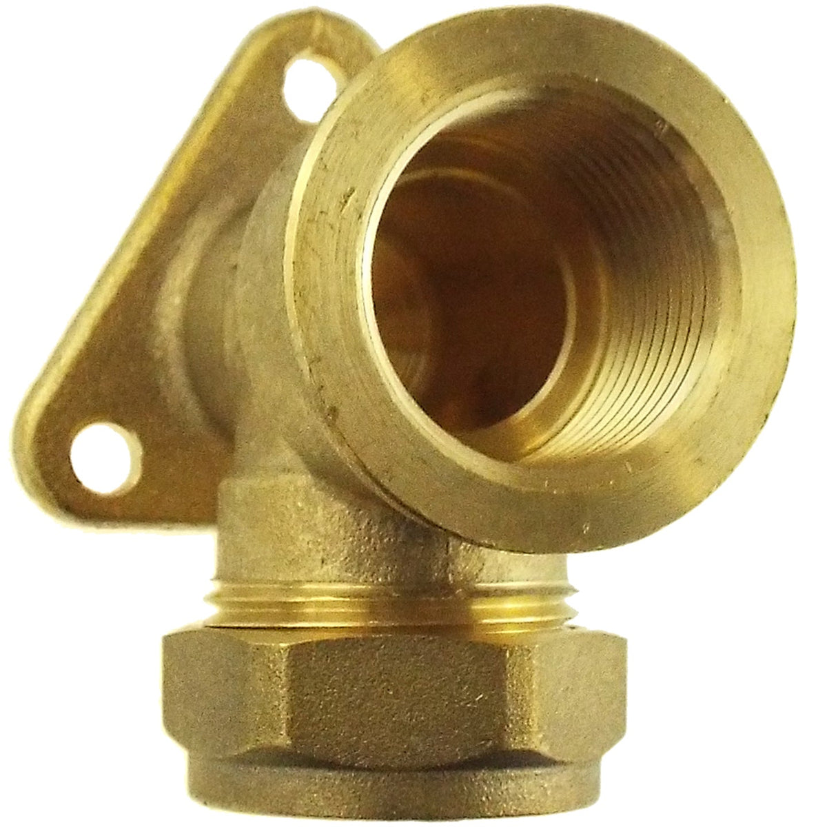 22mm Brass Wall Flange Kit with Brass Barbed Tap