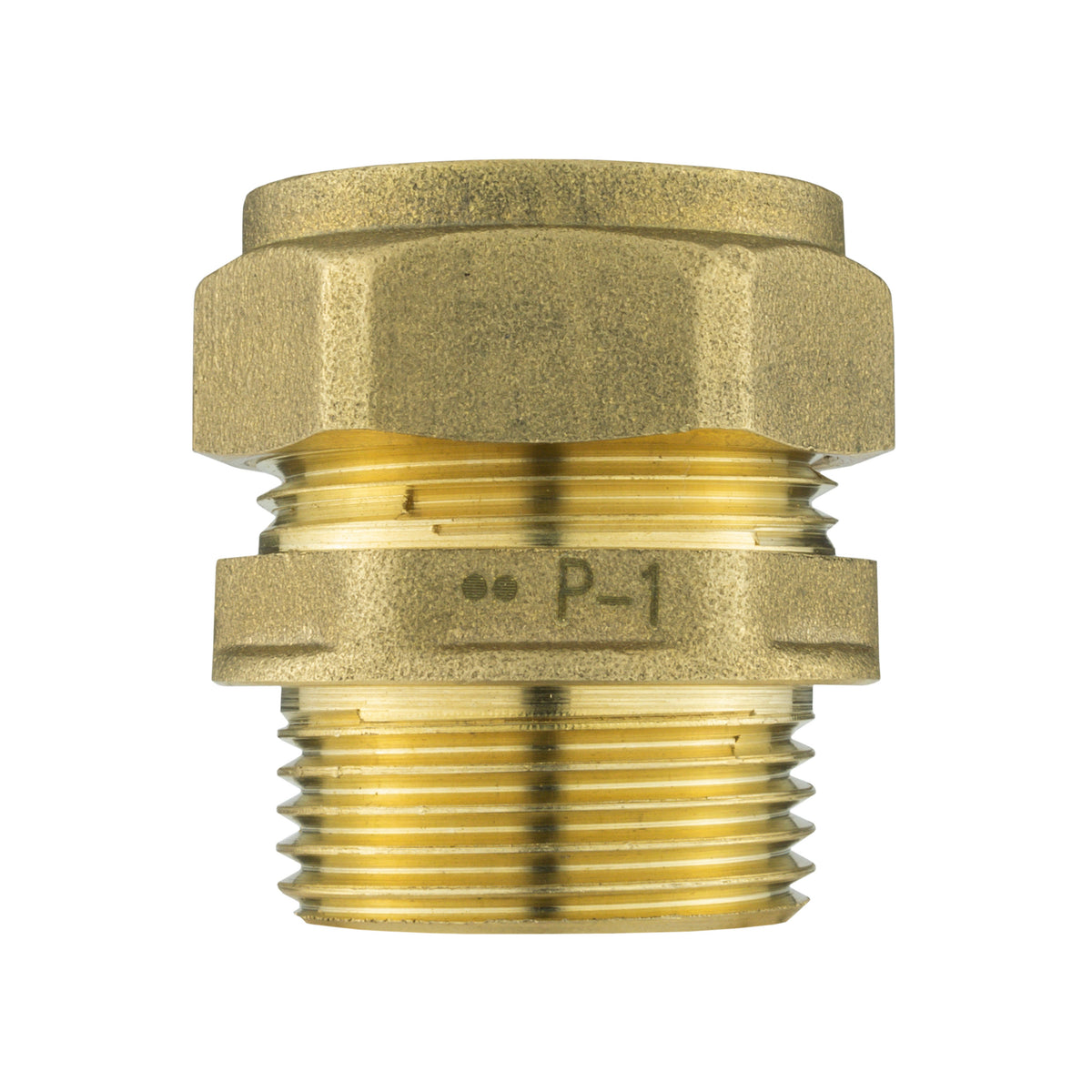 IBC 2” S60X6 Cap with Brass Compression Straight ¾” BSP – 22mm
