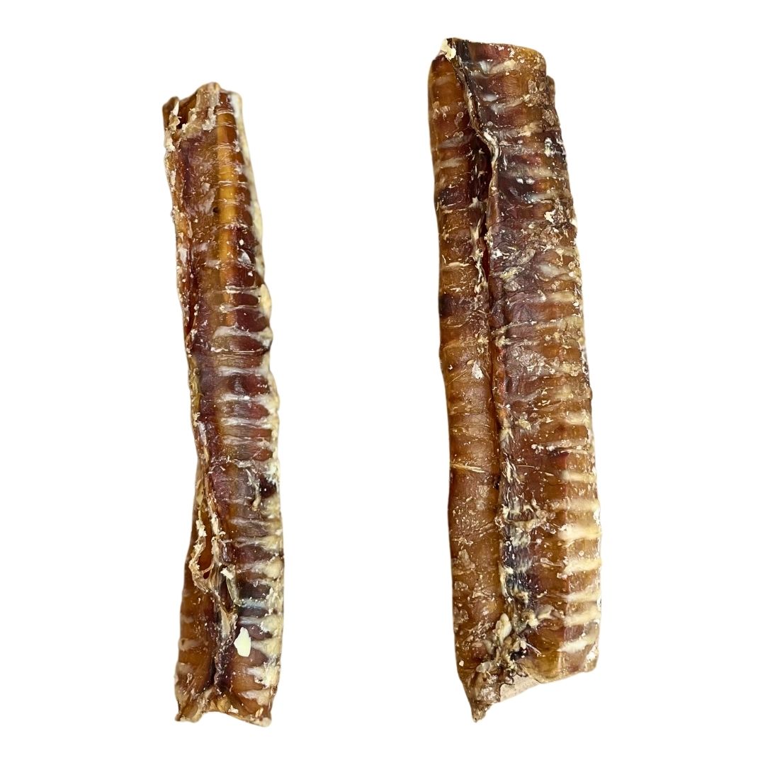 Beef Trachea 24cm Natural Dog Treat