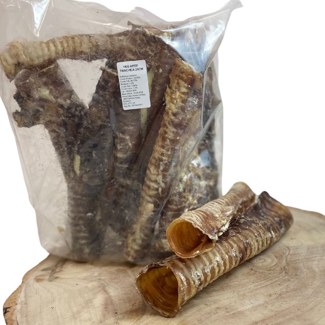 Beef Trachea 24cm Natural Dog Treat
