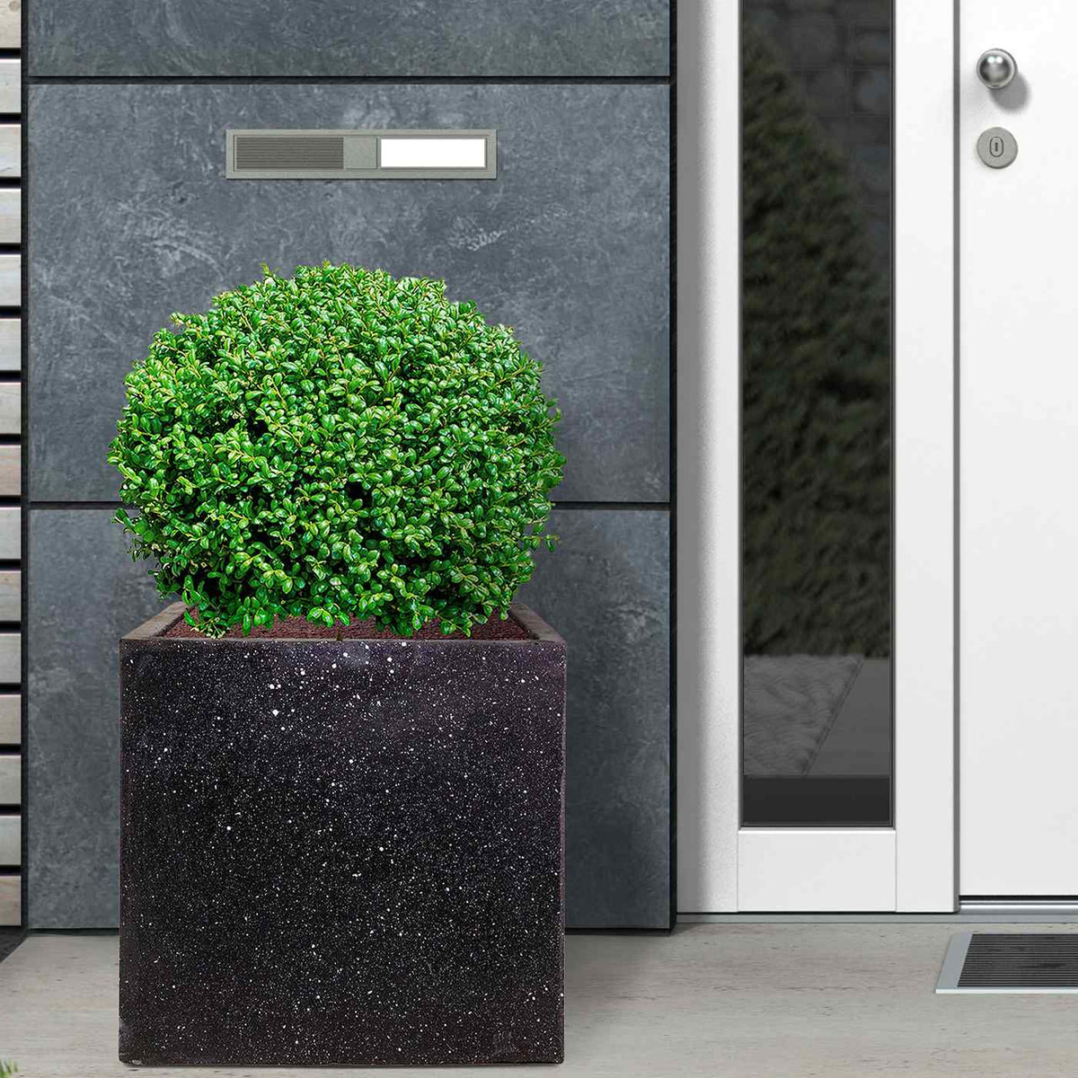 IDEALIST Lite Contemporary Flower Box Square Garden Planter, Light Concrete Outdoor Large Plant Pot H50 L50 W50 cm, 126L