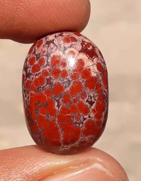 14.5ct Jasper - Blood Jasper Cabochon - Red Jasper - 19.6 x 12.7mm