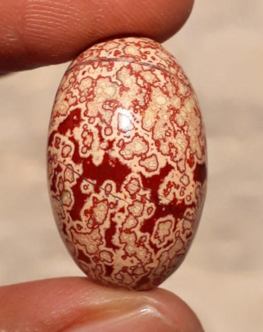 28ct Jasper - Blood Jasper Cabochon - Red Jasper -24.4x15.8mm