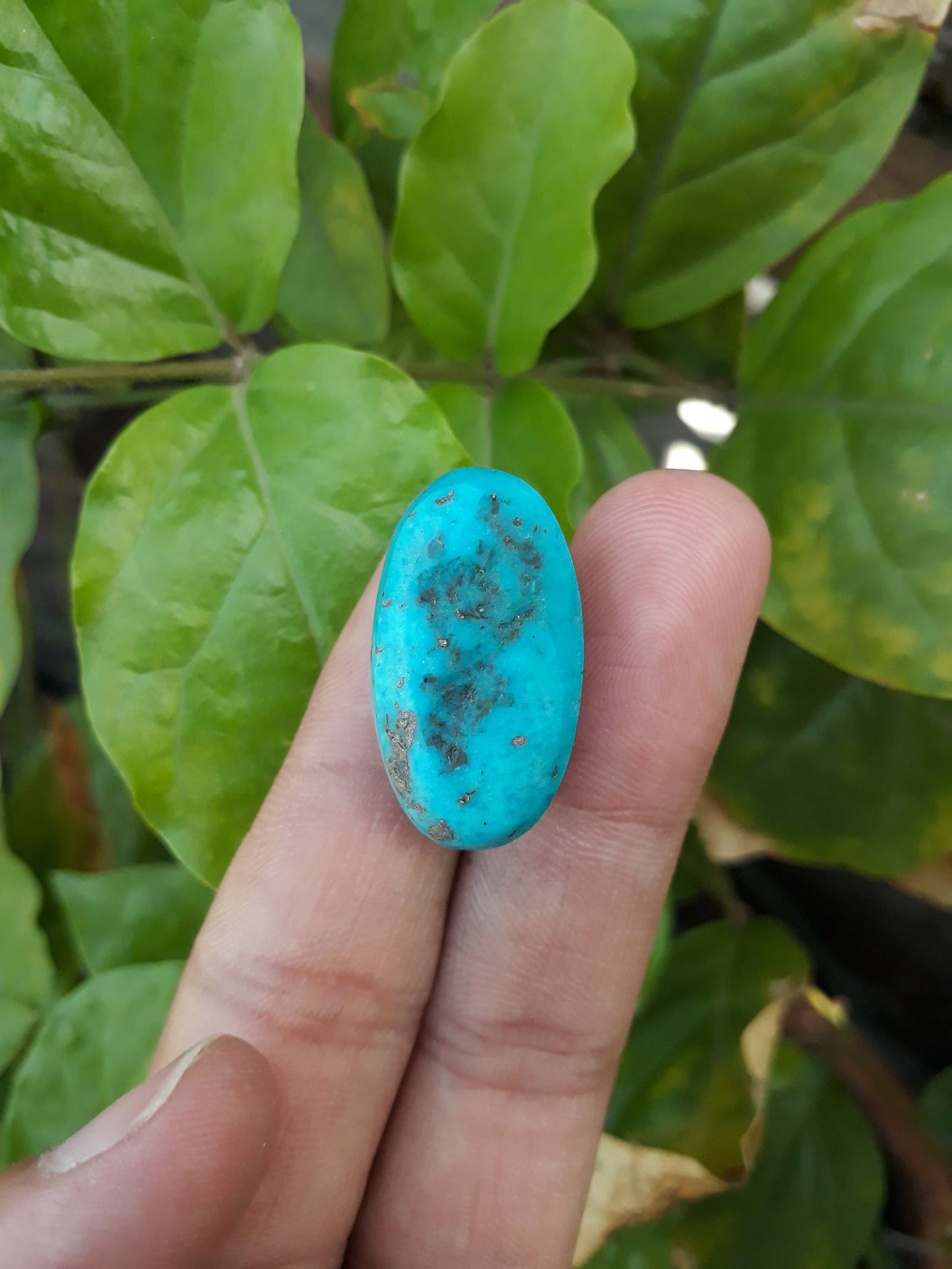 Natural Certified Turquoise with Pyrite - Blue Matrix Turquoise - Shajri Feroza-35.1Ct-28x16mm