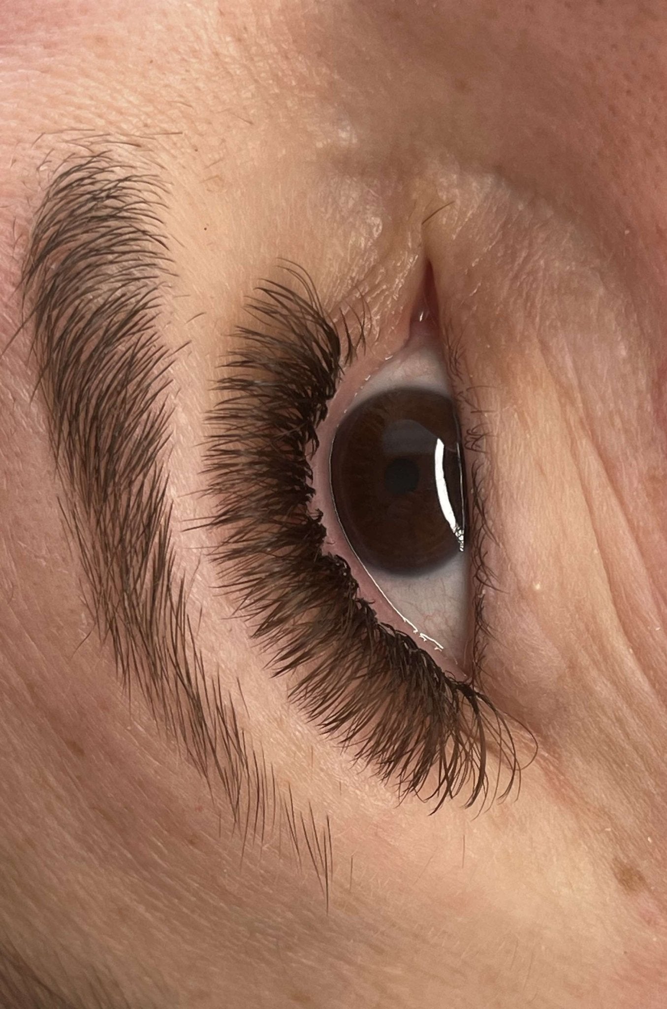 Brown Fairy Lash Mixed Tray