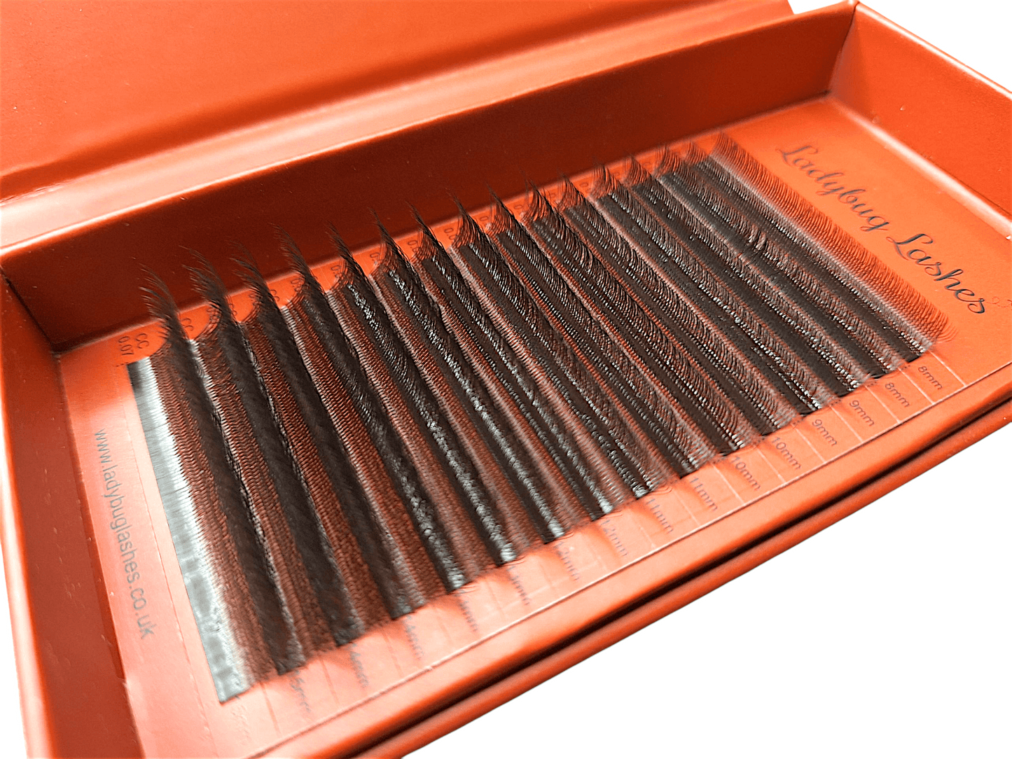 Brown W Lash Single Length