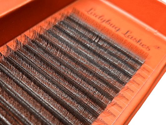 Brown Fairy Lash Mixed Tray