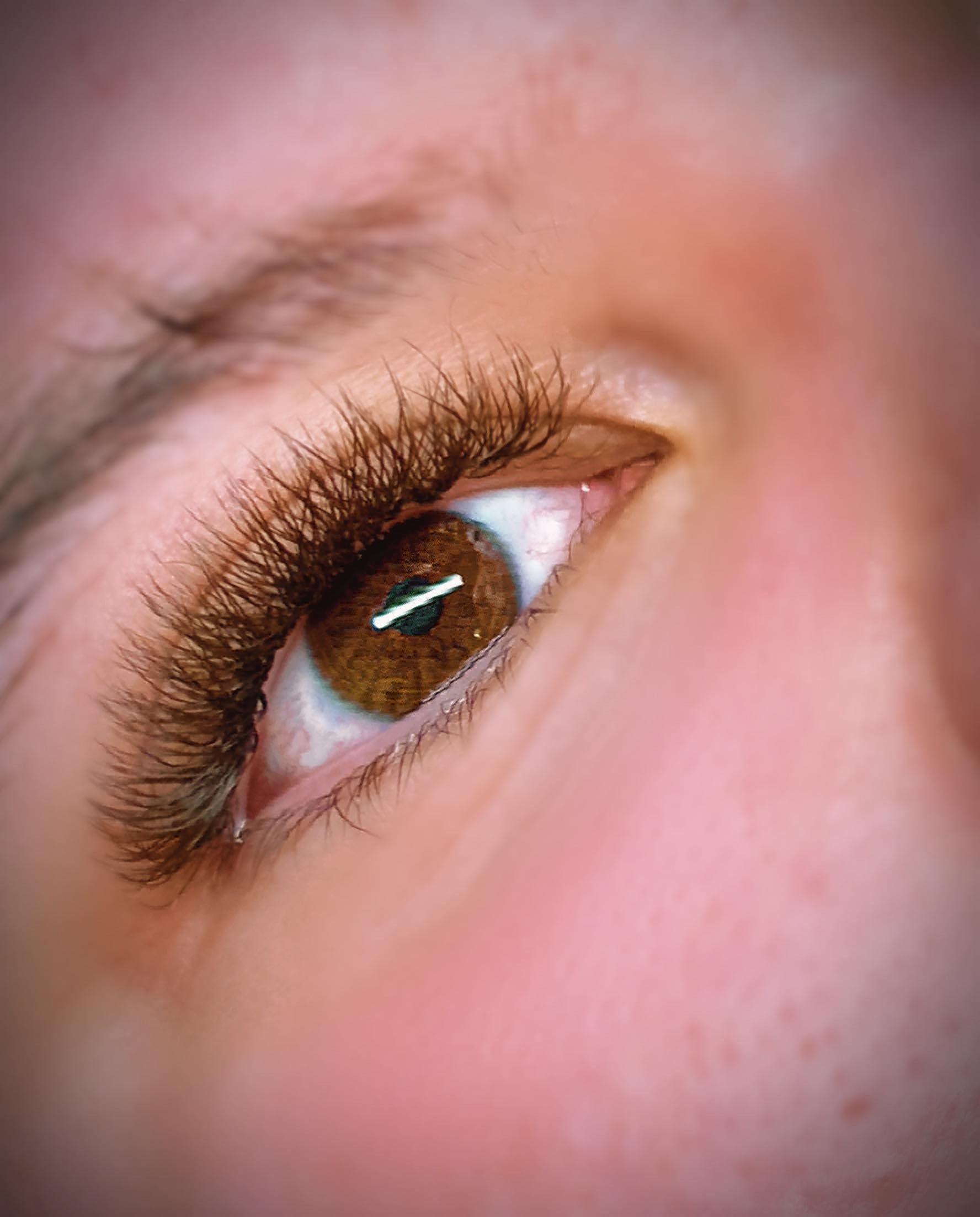 Brown W Lash Single Length