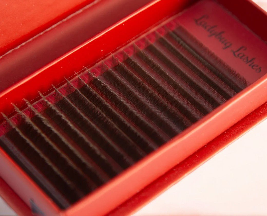 Brown YY Lash Single Length