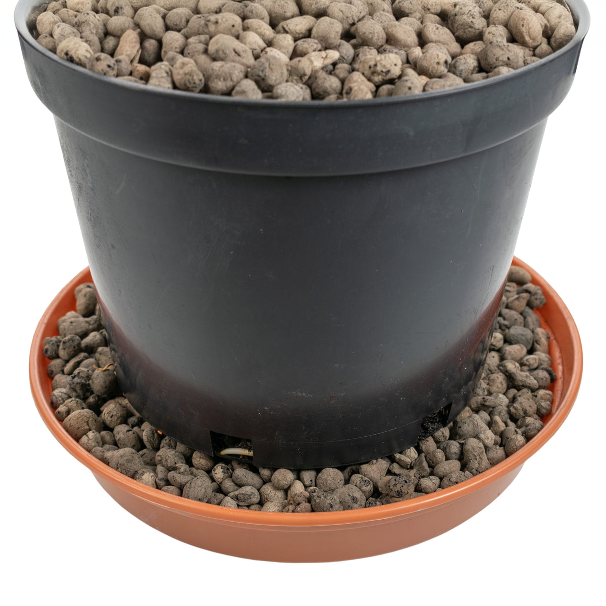 Expanded Clay Aggregate, KERAMZYT, Grade 4-8mm for Home and Garden Use