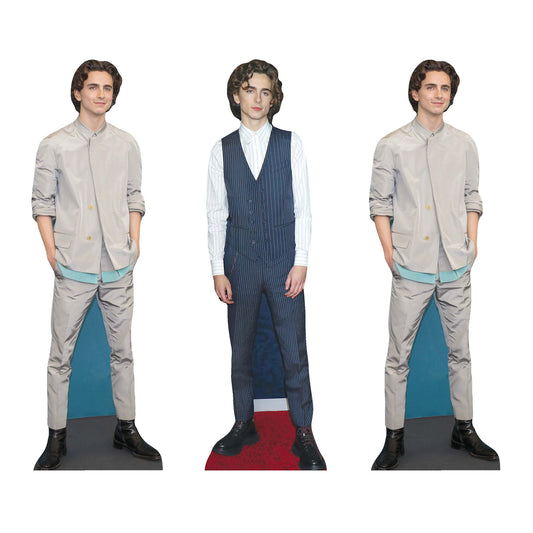 CS1195 Timothee Chalamet Three Pack Shelf Top Cutout  Cardboard Cut Out Height 31cm
