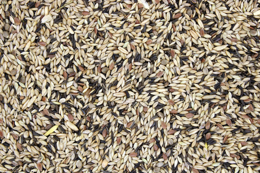 Bamfords Canary Supreme 20kg