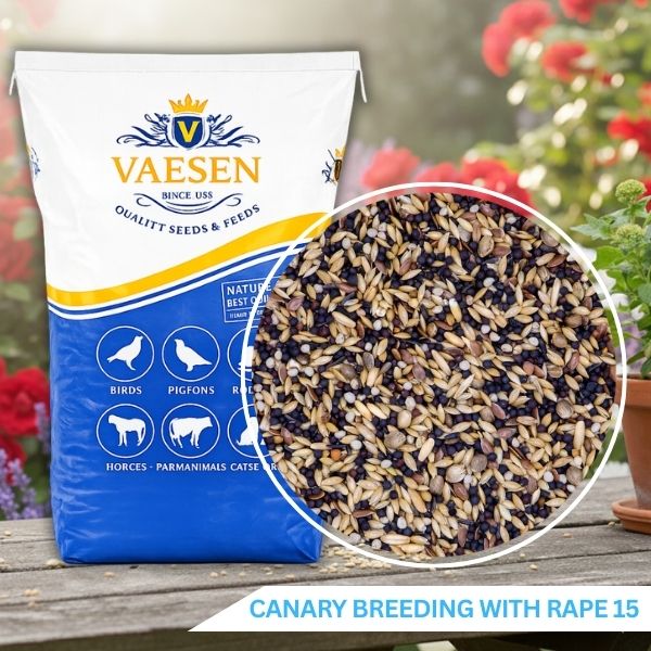 Vaesen - Canary Breeding Seed With Rape - No.15