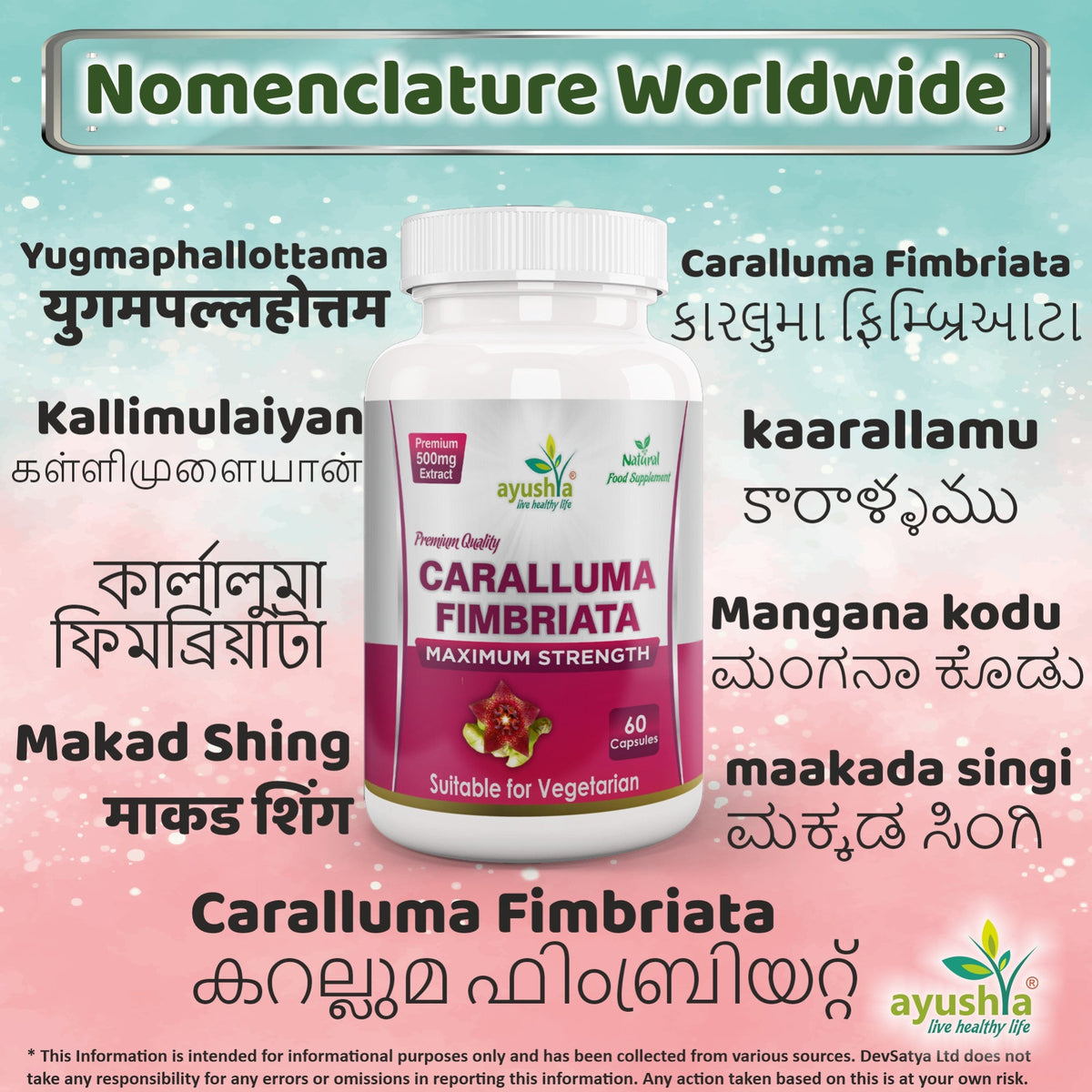 Ayushya Caralluma Fimbriata Capsules (Famine Food) Appetite Balance Support - Vegan, Gluten Free, Non-GMO, 60 Capsules
