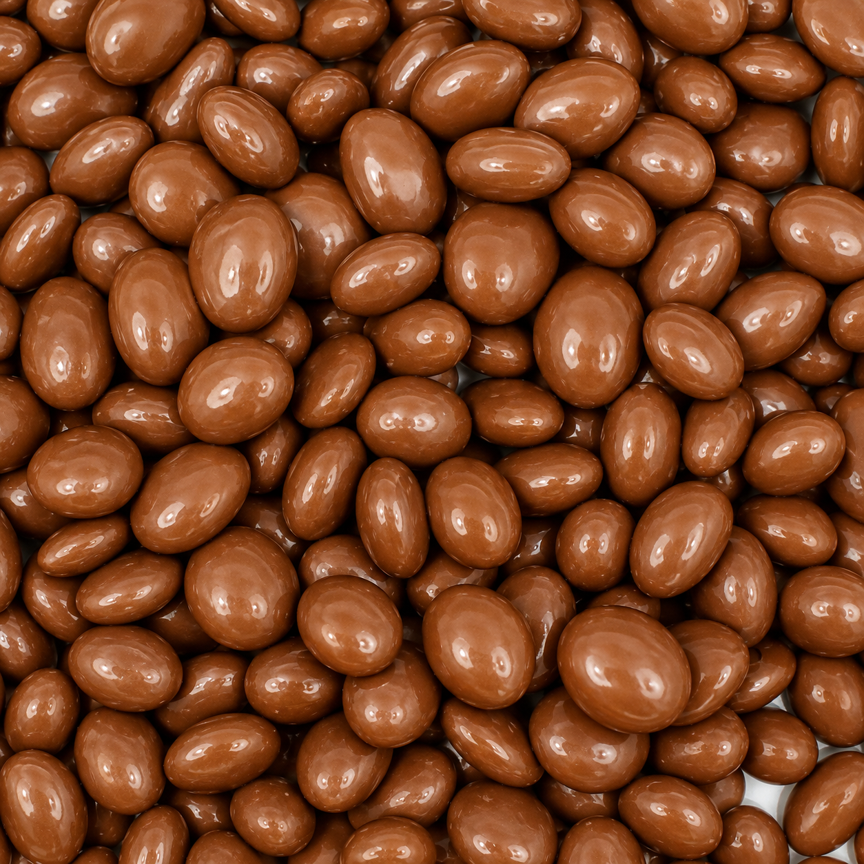 Chocolate Raisins