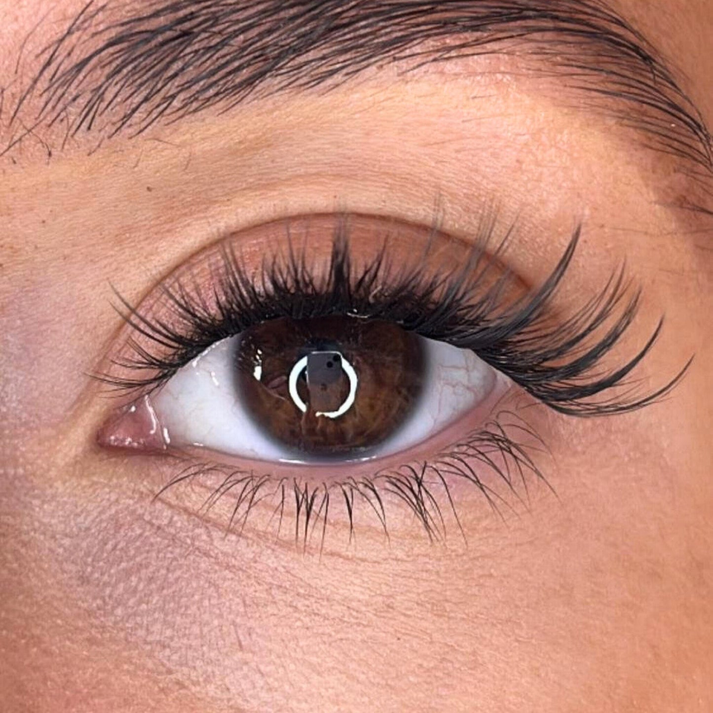 3D 'D' Curl Black Ciara Multi-Length Lash Ribbons® Starter Kit (With Ultimate Bond)