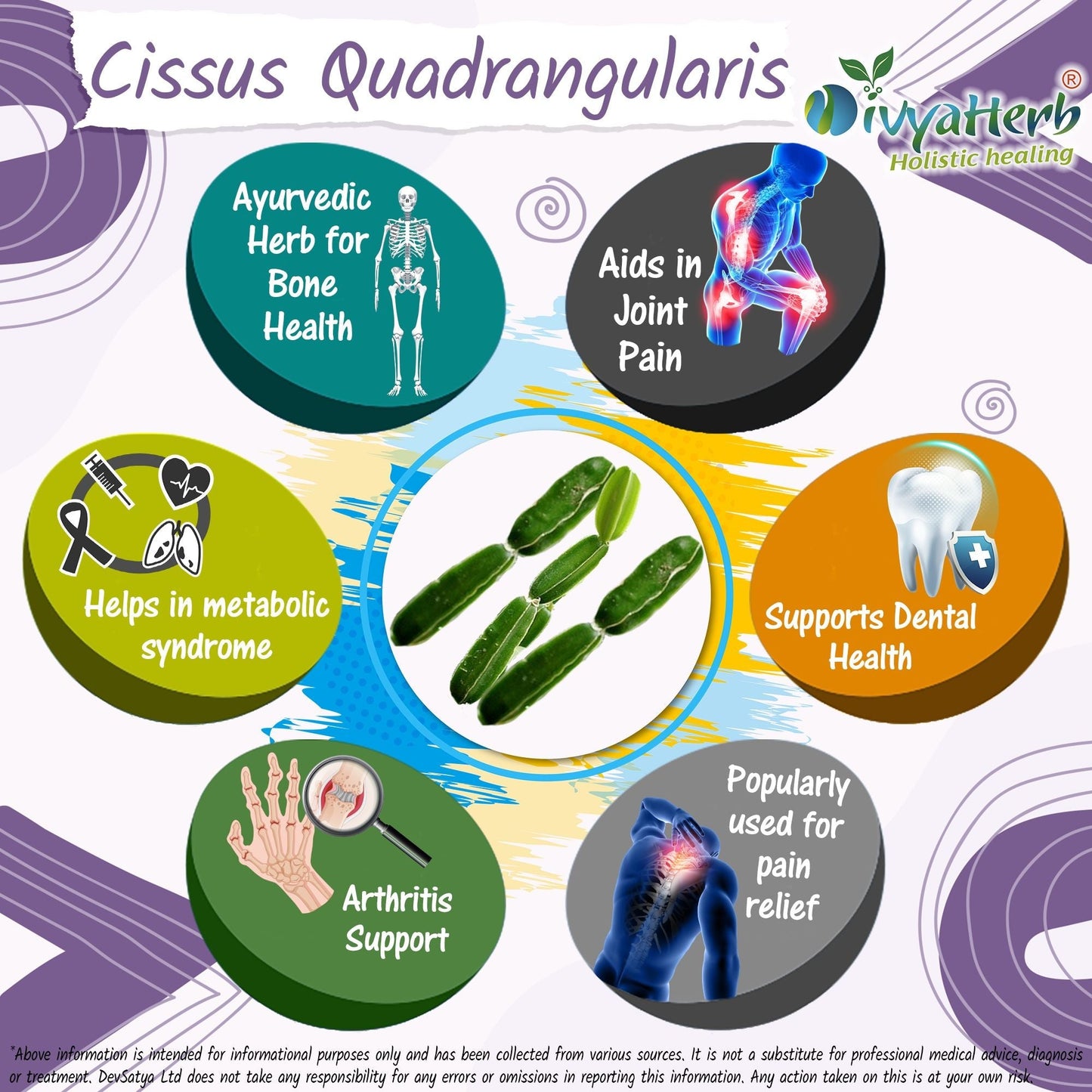 DivyaHerb Cissus Quadrangularis Powder 100 gram - Joint & Mobility Support