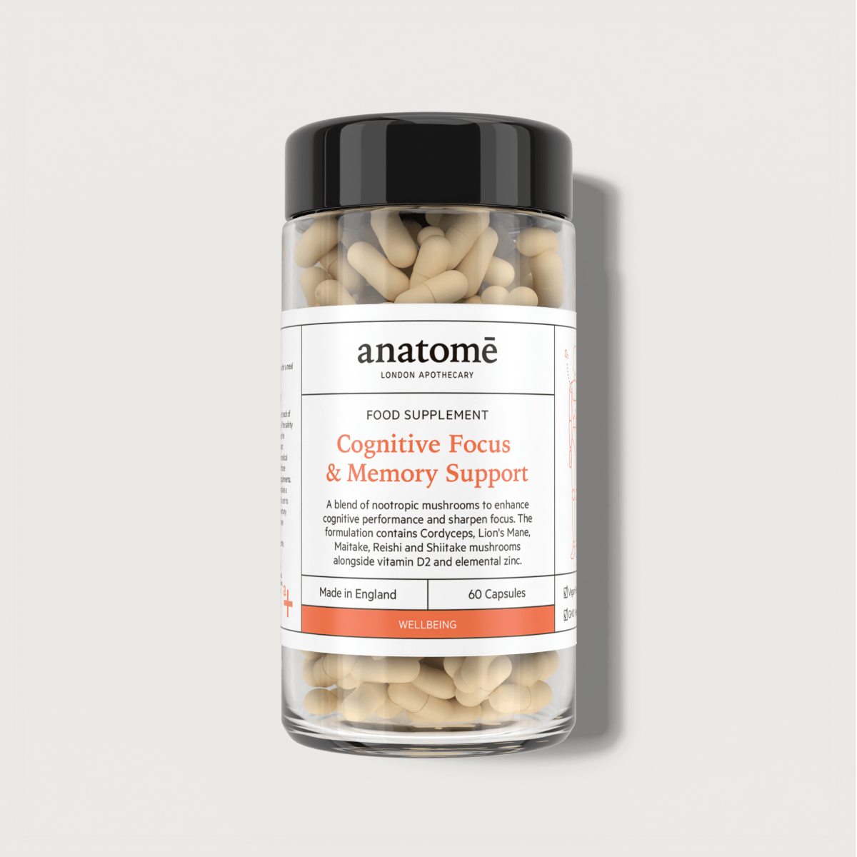 Cognitive Focus & Memory Support