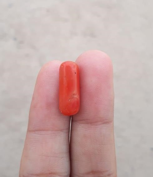 9.25ct Red Coral Stone - Moonga Stone - Marjan Stone - Pagadam Stone - 18x6mm