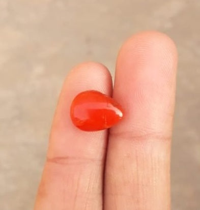 6.2ct Red Coral Stone - Moonga Stone - Marjan Stone - Pagadam Stone - 13.7x10.3mm