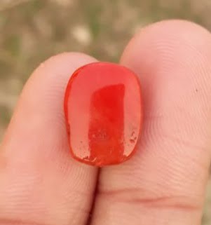 6.2ct Moonga Stone - Marjan Stone - Pagadam Stone - 14.5x11mm