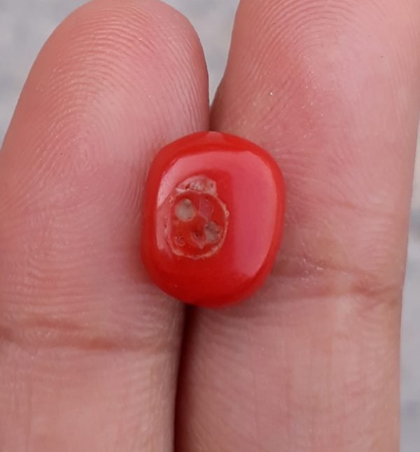 3.4ct Red Coral Stone - Moonga Stone - Marjan Stone - Pagadam Stone - 12x10mm
