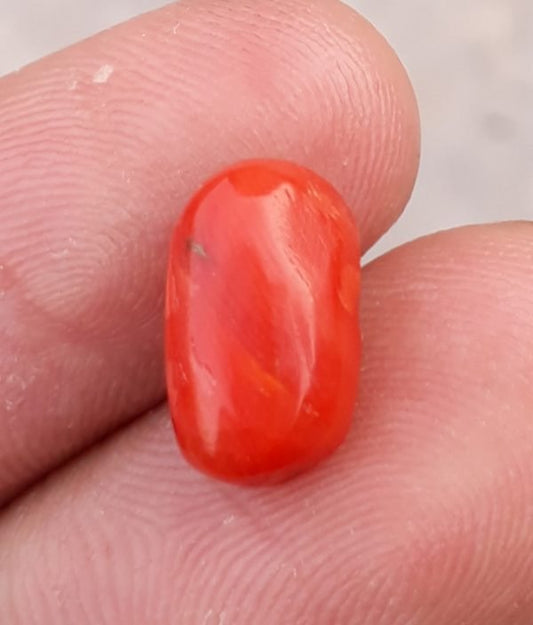 3.8ct Coral Stone - Moonga Stone - Marjan Stone - Pagadam Stone - 12x7mm