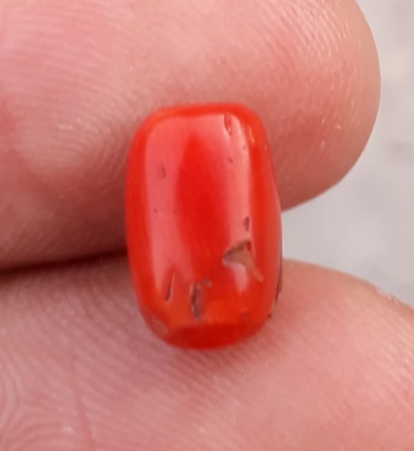 2.3ct Coral Stone - Moonga Stone - Marjan Stone - Pagadam Stone - 10x7mm
