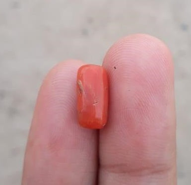 3.9ct Coral Stone - Moonga Stone - Marjan Stone - Pagadam Stone - 11x4mm