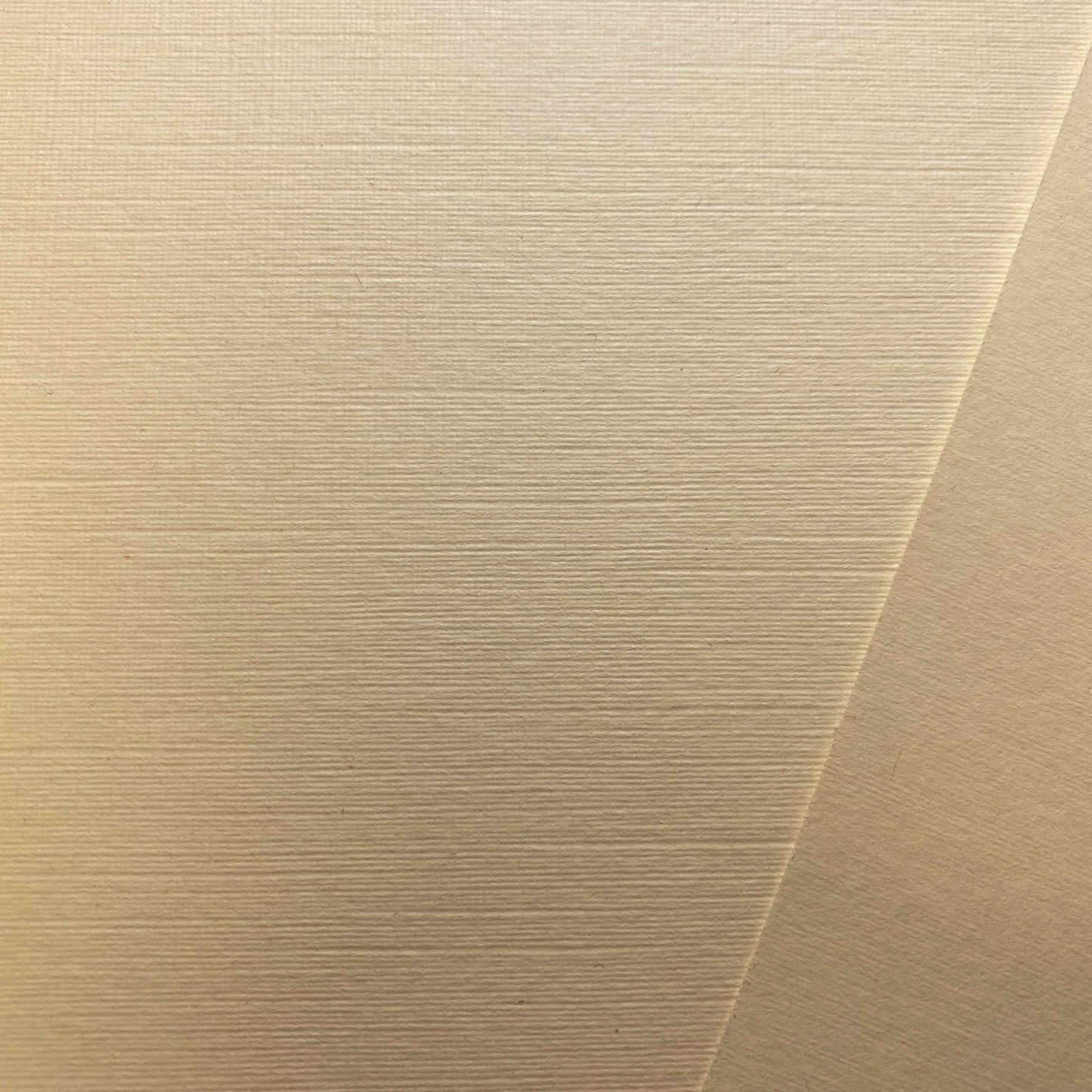5x5 Linen Cream Card Stock (127mmx127mm) 255gsm - Stella Weds®
