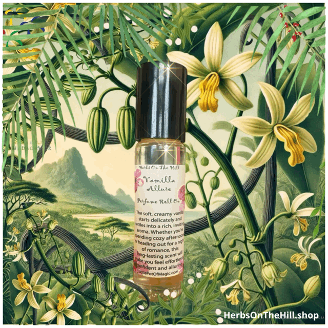 11ml Vanilla Allure Perfume Roll-On