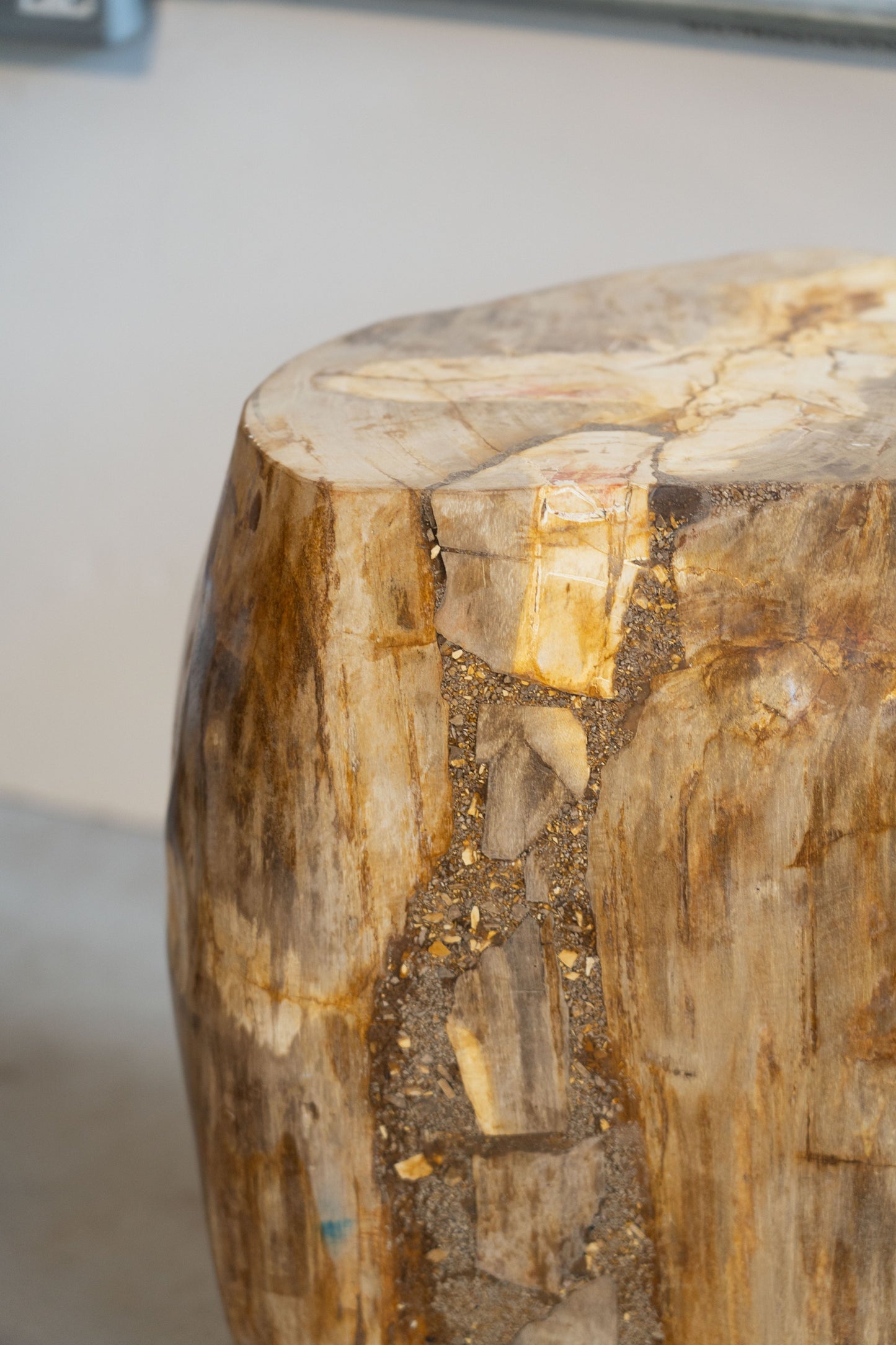 Petrified Wood Side Table \ Stool
